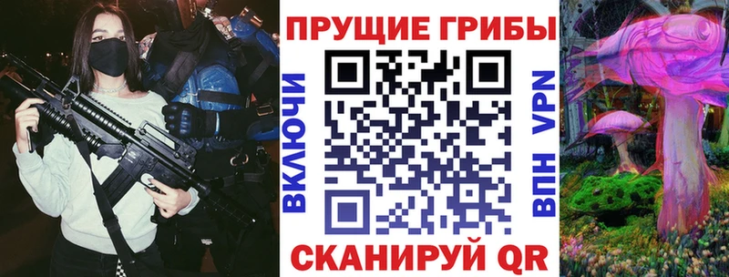 Купить  Мичуринск  Галлюциногенные грибы Psilocybe 
